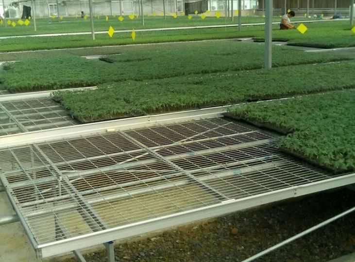 <a href='http://empapersblog.com/miaochuangsheshi/199.html'target='_blank'>育苗床</a>.jpg